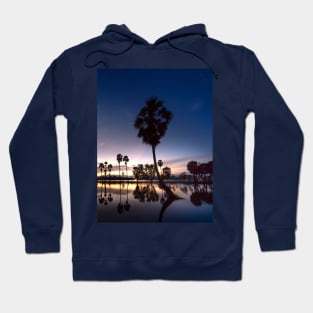 Sunset Palm trees Hoodie